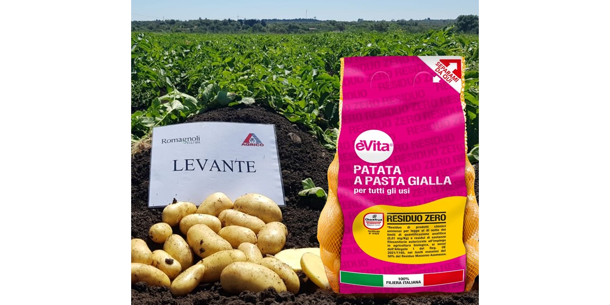 Torna sugli scaffali della Gdo la patata èVita Residuo Zero